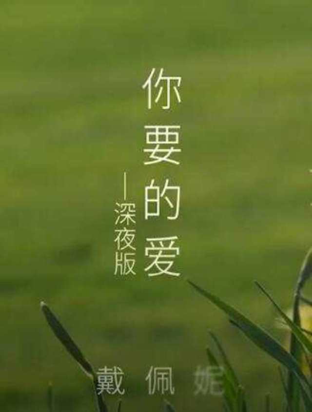 你要的爱(深夜版) 电视剧《流星花园》插曲 -- 戴佩妮_HD1024高清国语版