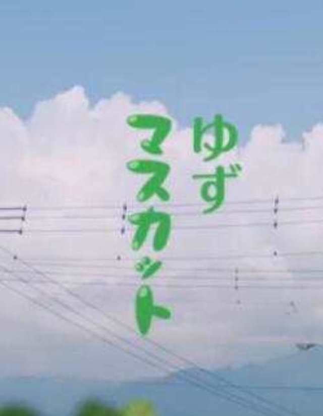 マスカット -- 柚子乐队_HD1024高清