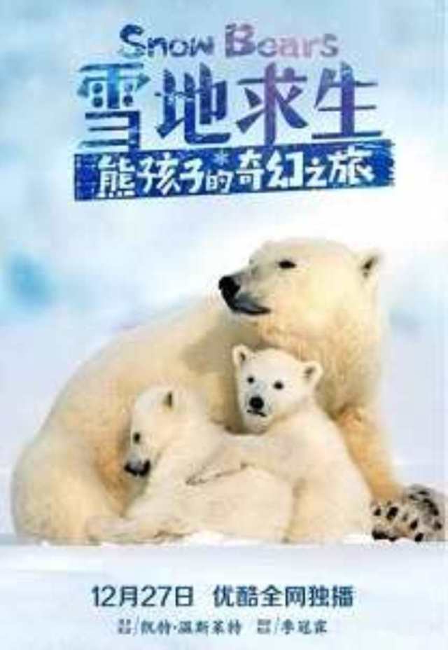 雪地求生：熊孩子的奇幻之旅_HD1280高清中英双字版