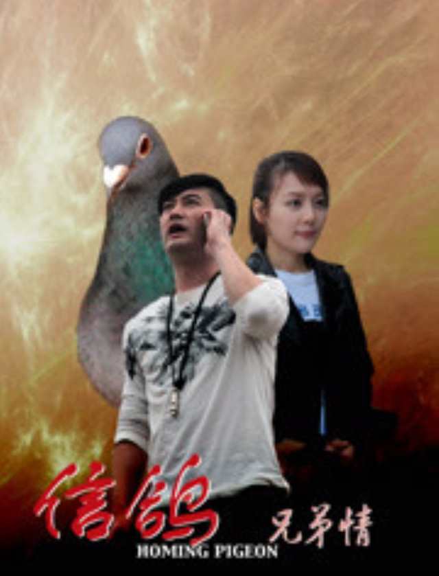 信鸽之兄弟情HD1280高清国语中字版