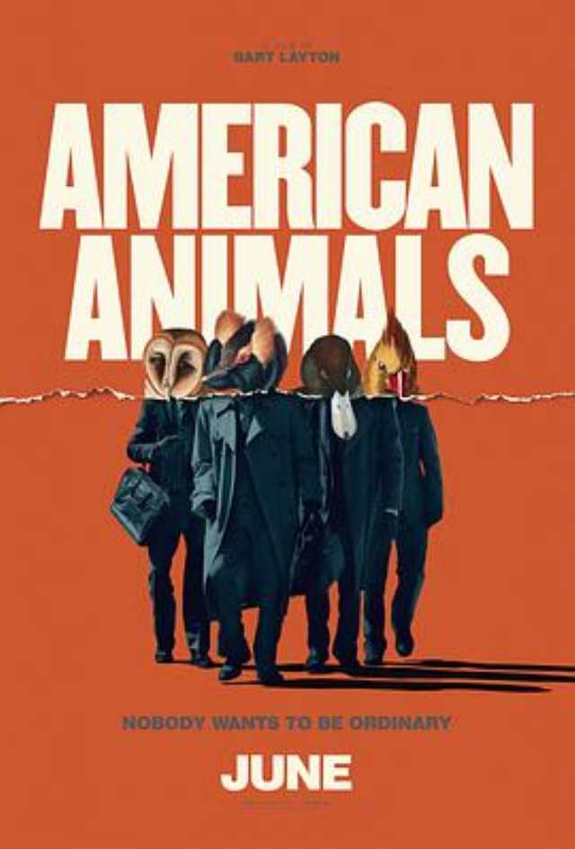 美国动物BD1280高清中英双字版