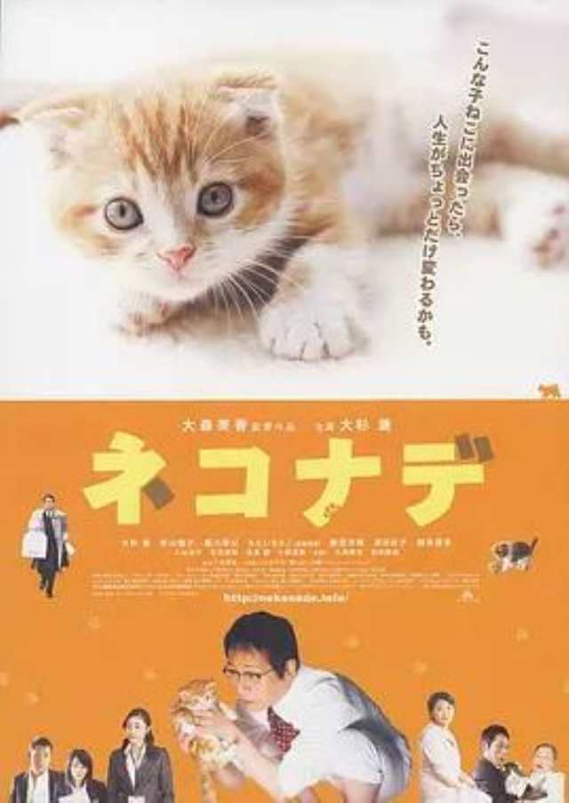 小猫奇缘HD1280高清中字版
